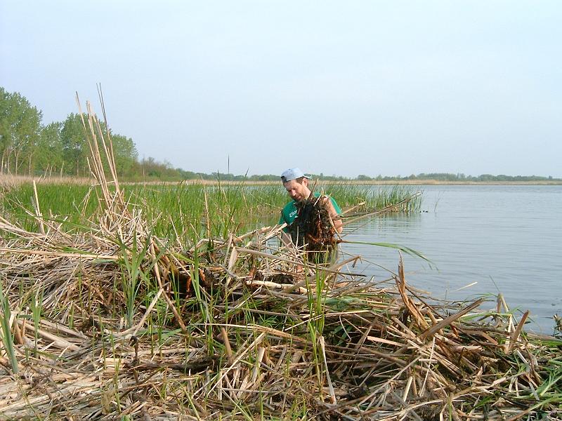 20110427 004.jpg